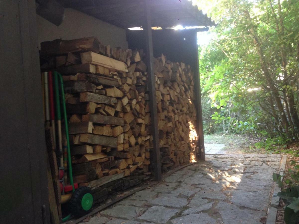 Casa Vacanze Mazurine10 Torri Del Benaco Dış mekan fotoğraf
